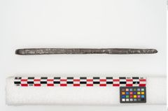 Foto von Eisenklammer (NHMW-PRAE-025089a)